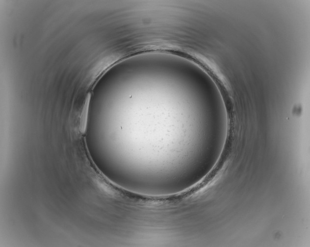 X0000091300889200708172206