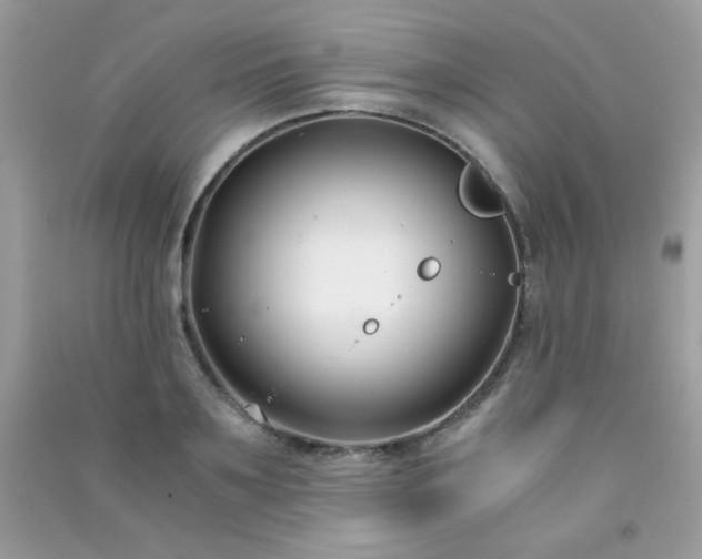 X0000091300891200708172206