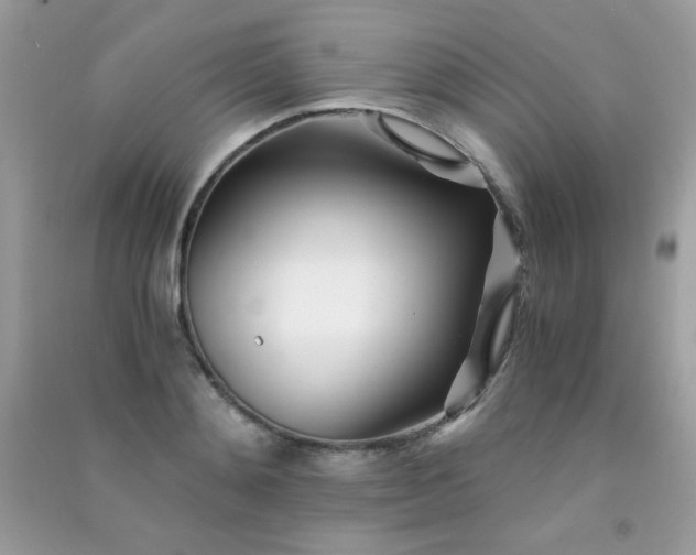 X0000091300892200708172206