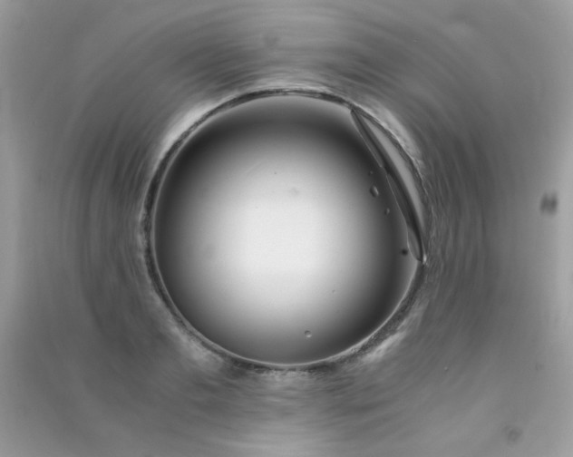 X0000091300893200708172206