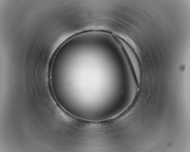 X0000091300894200708172206