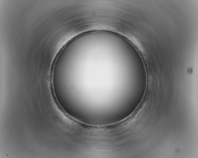 X0000091300895200708172206