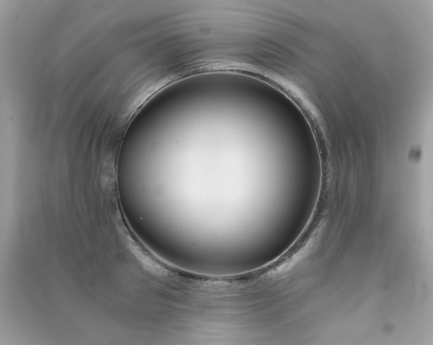 X0000091300897200708172206