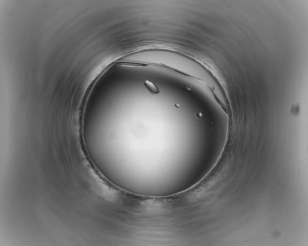 X0000091300898200708172206