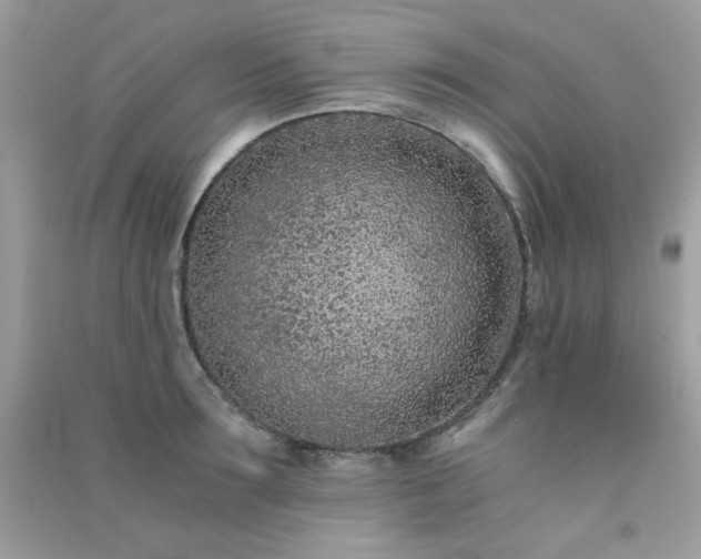 X0000091300899200708172206