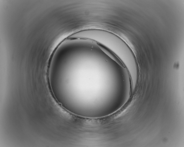 X0000091300901200708172206