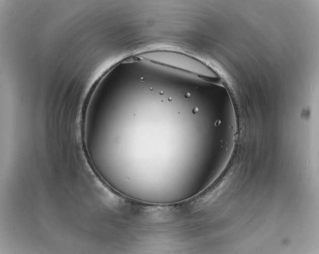 X0000091300902200708172206