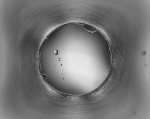 X0000091300903200708172206