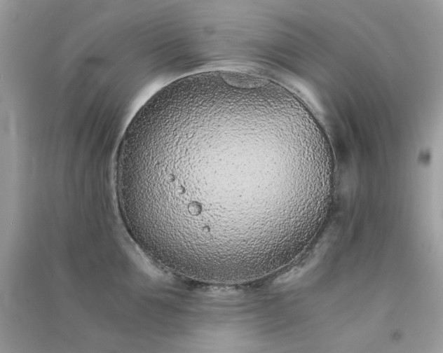 X0000091300907200708172206