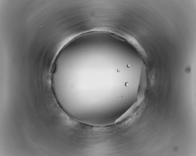 X0000091300908200708172206