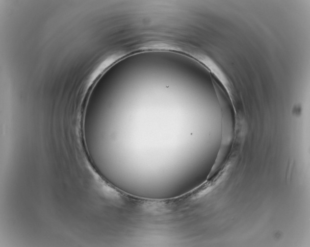 X0000091300909200708172206