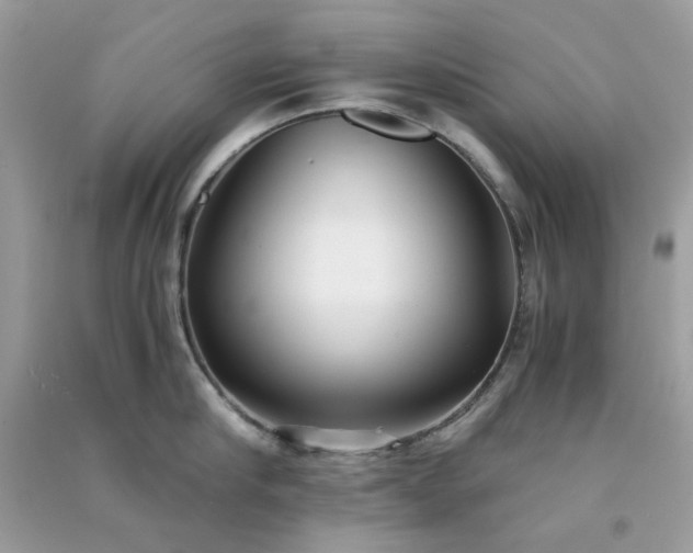 X0000091300910200708172206