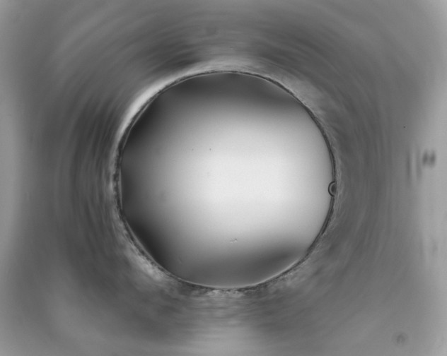 X0000091300912200708172206