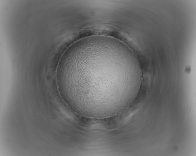 X0000091300913200708172205