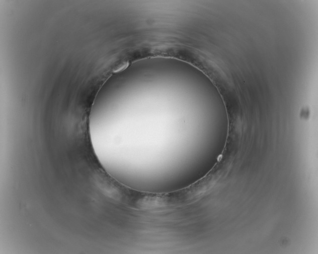 X0000091300914200708172205