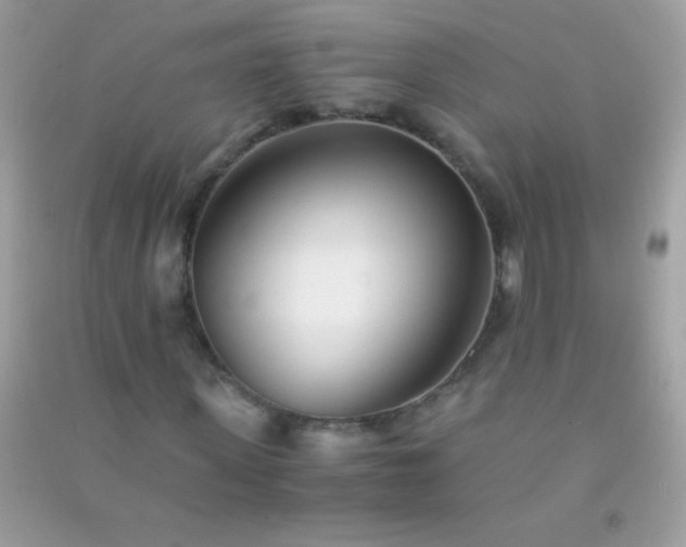 X0000091300915200708172205