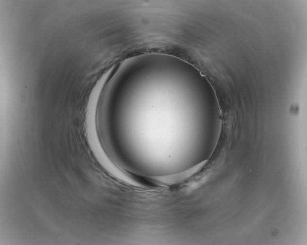 X0000091300916200708172205