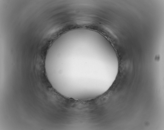 X0000091300917200708172205