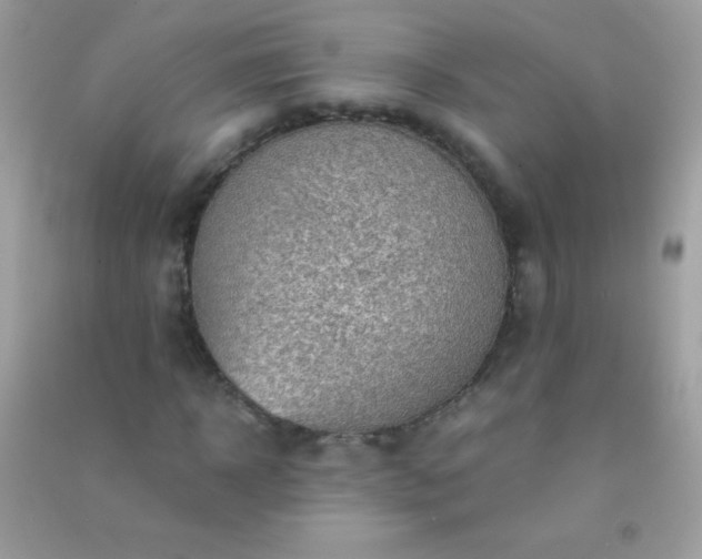 X0000091300918200708172205