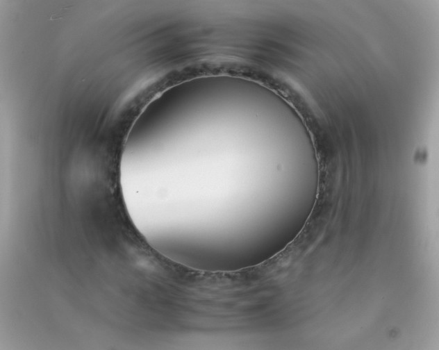 X0000091300919200708172205