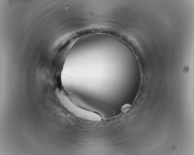 X0000091300920200708172205