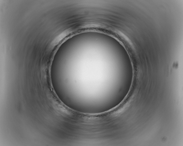 X0000091300921200708172205