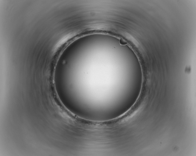 X0000091300922200708172205