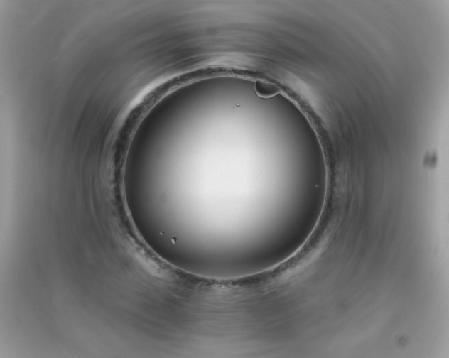 X0000091300923200708172205