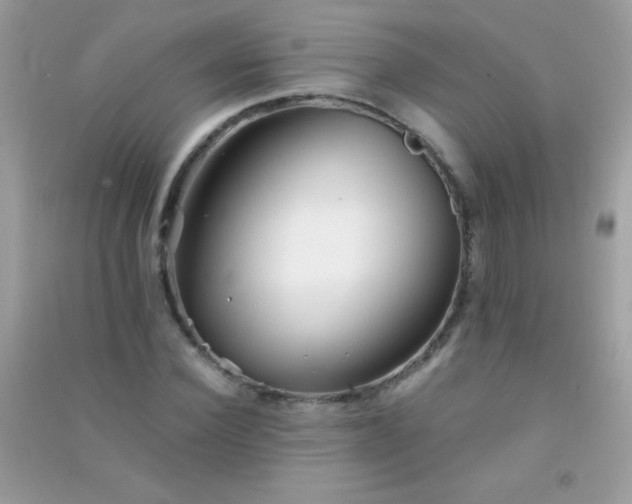 X0000091300924200708172205