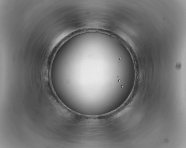 X0000091300925200708172205