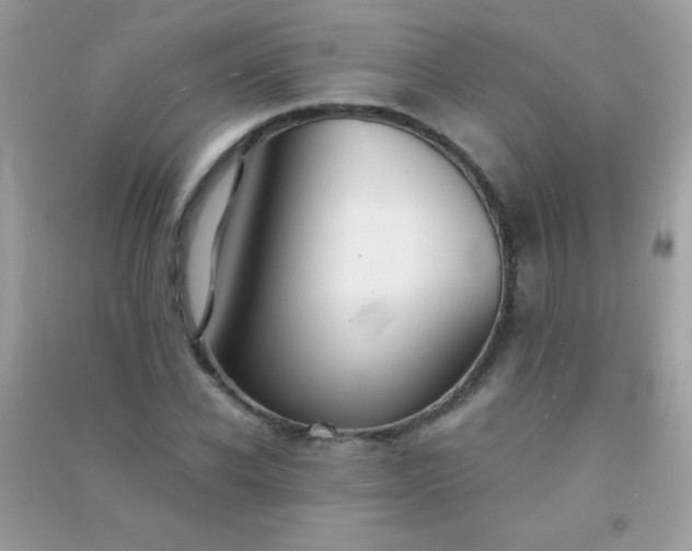 X0000091300926200708172205