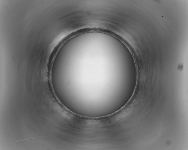 X0000091300927200708172205