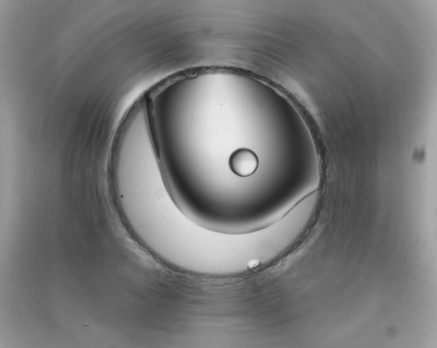 X0000091300928200708172205