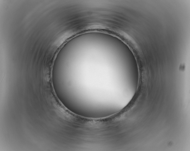 X0000091300929200708172205