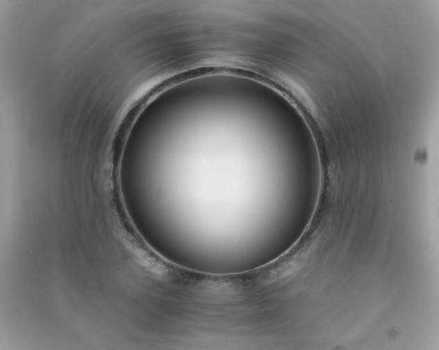 X0000091300931200708172205