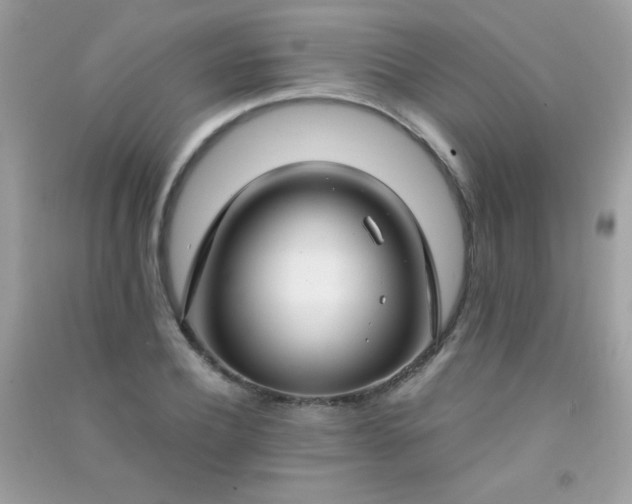 X0000091300932200708172205