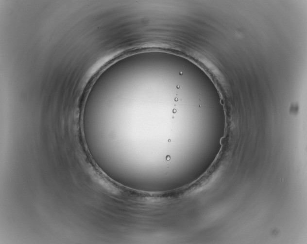 X0000091300933200708172205