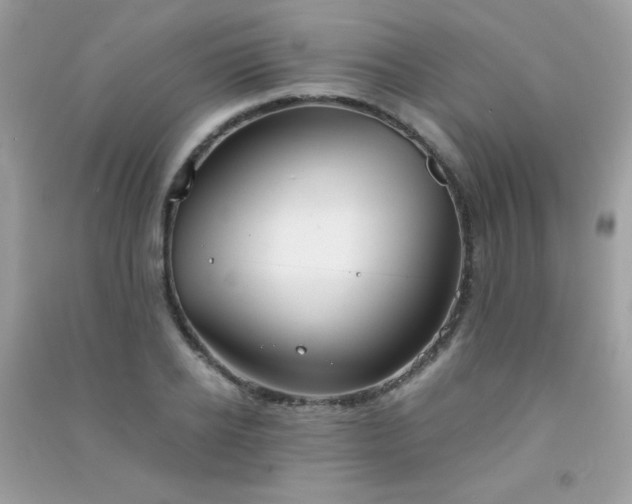 X0000091300934200708172206