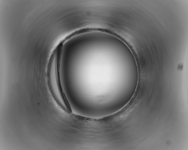 X0000091300935200708172206