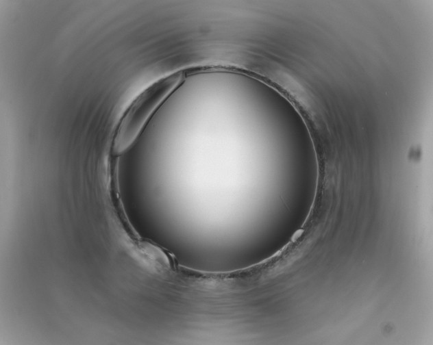 X0000091300936200708172206