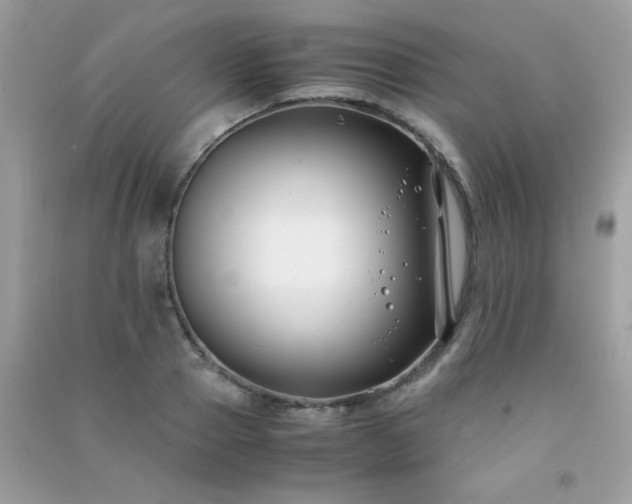 X0000091300937200708172206