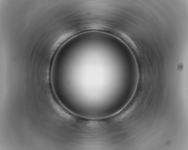 X0000091300938200708172206