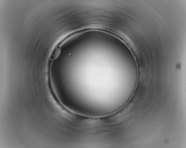 X0000091300939200708172206