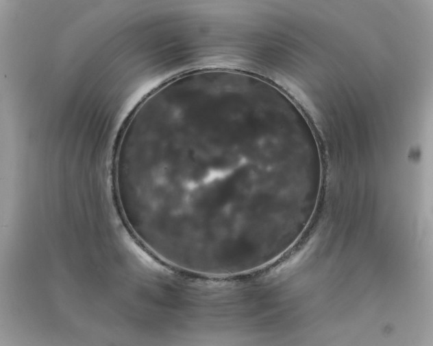 X0000091300941200708172206