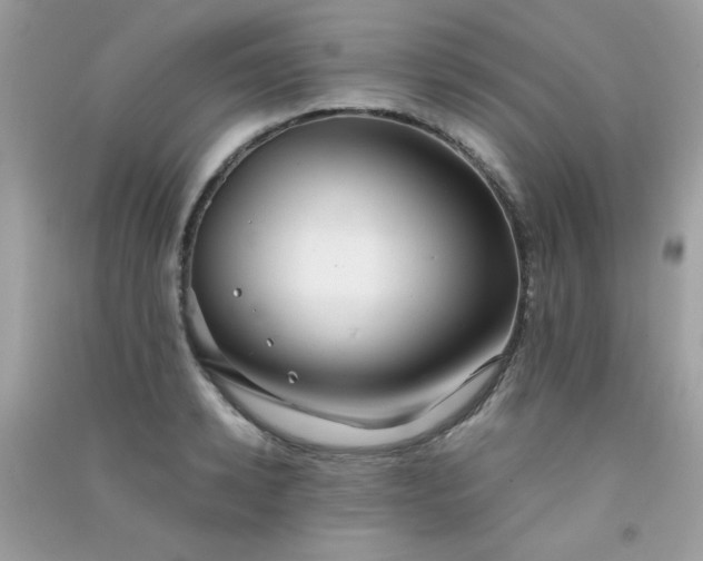 X0000091300942200708172206