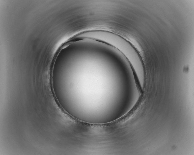 X0000091300944200708172206