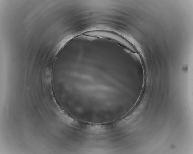 X0000091300945200708172206