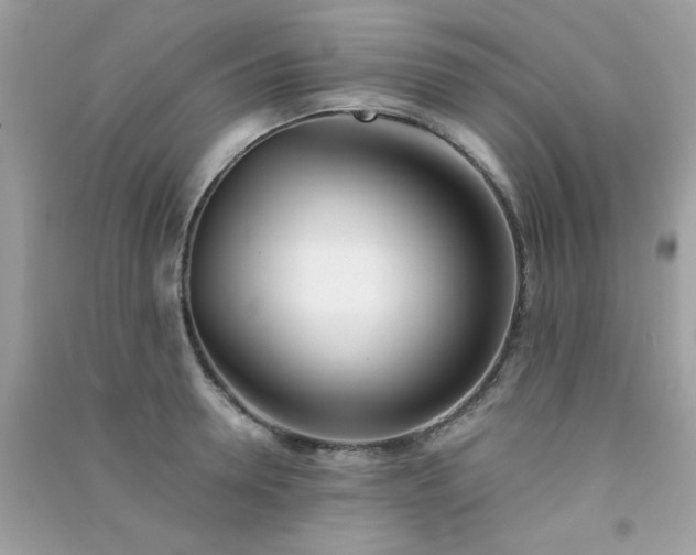 X0000091300946200708172206