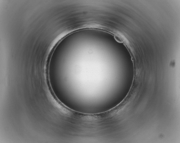 X0000091300947200708172206