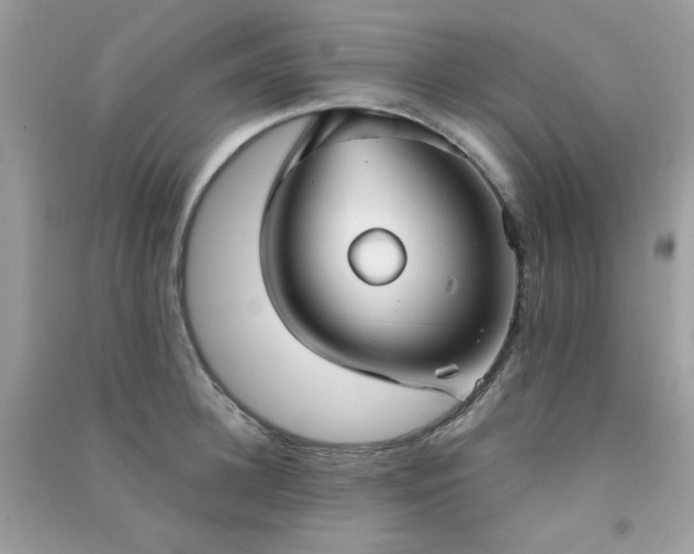 X0000091300948200708172206